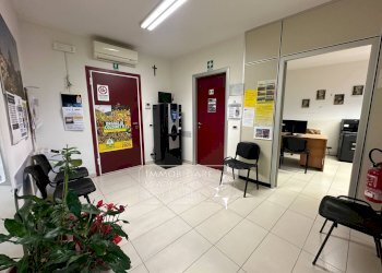 Foto 10 - Capannone via Fratelli Rosselli
 
5, Camaiore - foto 10