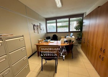 Foto 12 - Capannone via Fratelli Rosselli
 
5, Camaiore - foto 11