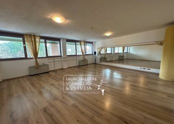 Foto 1 - Capannone via F. Rosselli
 
20, Camaiore - foto 1