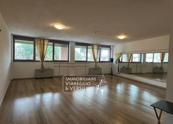 Foto 2 - Capannone via F. Rosselli
 
20, Camaiore - foto 2