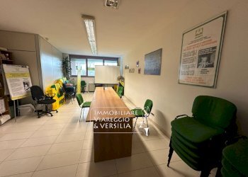 Foto 3 - Capannone via F. Rosselli
 
20, Camaiore - foto 3