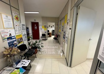 Foto 4 - Capannone via F. Rosselli
 
20, Camaiore - foto 4