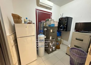 Foto 5 - Capannone via F. Rosselli
 
20, Camaiore - foto 5