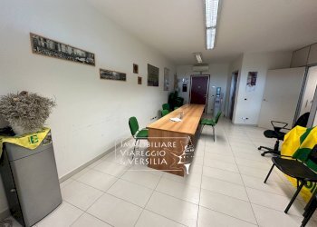 Foto 6 - Capannone via F. Rosselli
 
20, Camaiore - foto 6