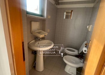 Foto 19 - Capannone via Michele Coppino
 
220, Viareggio - foto 19