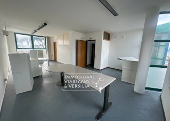 Foto 22 - Capannone via Michele Coppino
 
220, Viareggio - foto 22