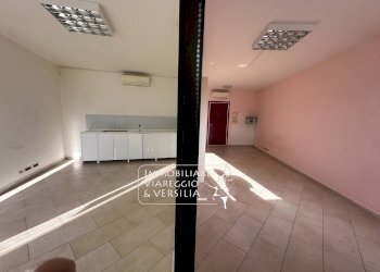 Foto 2 - Capannone via Fratelli Rosselli
 
5, Camaiore - foto 2