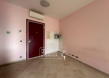 Foto 4 - Capannone via Fratelli Rosselli
 
5, Camaiore - foto 4