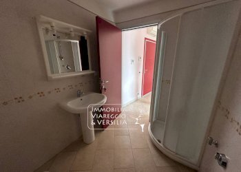 Foto 7 - Capannone via Fratelli Rosselli
 
5, Camaiore - foto 7