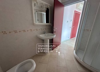 Foto 8 - Capannone via Fratelli Rosselli
 
5, Camaiore - foto 8