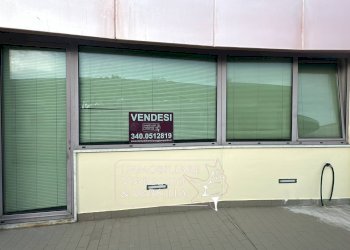 Foto 1 - Capannone via Fratelli Rosselli
 
5, Camaiore - foto 1