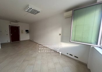 Foto 18 - Capannone via Fratelli Rosselli
 
5, Camaiore - foto 18