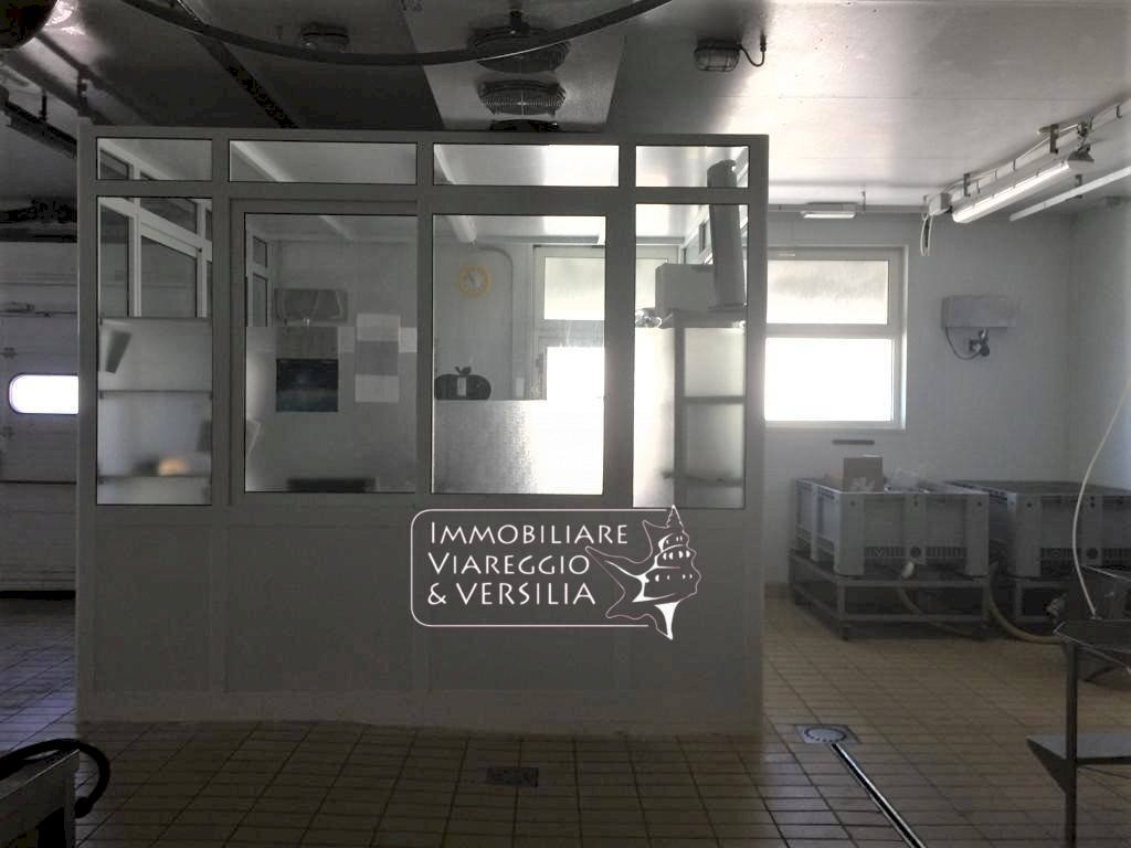 Foto 4 - Laboratory via dei Peecchi
 
100, Viareggio - photo 3