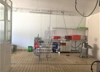 Foto 1 - Laboratorio via dei Peecchi
 
100, Viareggio - foto 1