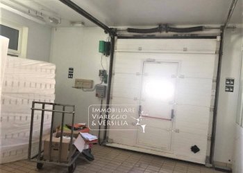 Foto 3 - Laboratorio via dei Peecchi
 
100, Viareggio - foto 2