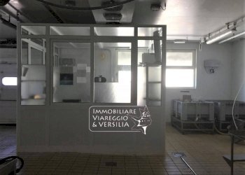 Foto 4 - Laboratorio via dei Peecchi
 
100, Viareggio - foto 3