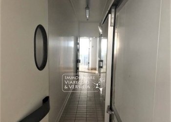 Foto 5 - Laboratorio via dei Peecchi
 
100, Viareggio - foto 4