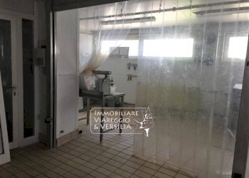 Foto 6 - Laboratorio via dei Peecchi
 
100, Viareggio - foto 5