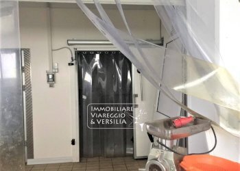 Foto 7 - Laboratorio via dei Peecchi
 
100, Viareggio - foto 6