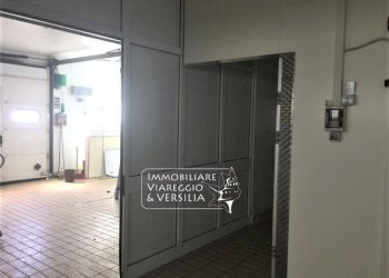 Foto 8 - Laboratorio via dei Peecchi
 
100, Viareggio - foto 7