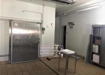 Foto 9 - Laboratorio via dei Peecchi
 
100, Viareggio - foto 8