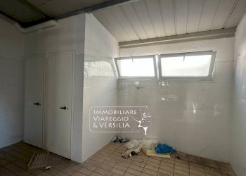 Foto 5 - Shed via dei Peecchi
100, Viareggio - photo 4