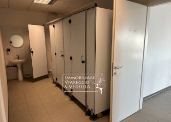 Foto 8 - Capannone via Poggio alle viti
 
150, Viareggio - foto 8