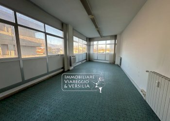 Foto 5 - Capannone via Vespucci
 
250, Viareggio - foto 5