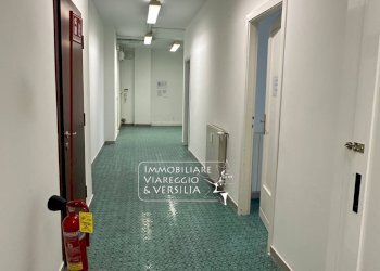 Foto 6 - Capannone via Vespucci
 
250, Viareggio - foto 6