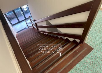 Foto 8 - Capannone via Vespucci
 
250, Viareggio - foto 8