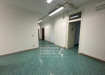 Foto 9 - Capannone via Vespucci
 
250, Viareggio - foto 9