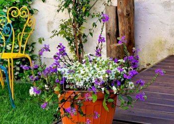 Foto 42 - Casa indipendente via XX settembre
 
200, Viareggio - foto 42