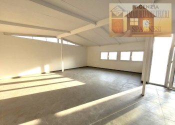 Altro - Capannone via Indicatorio, Signa - foto 5