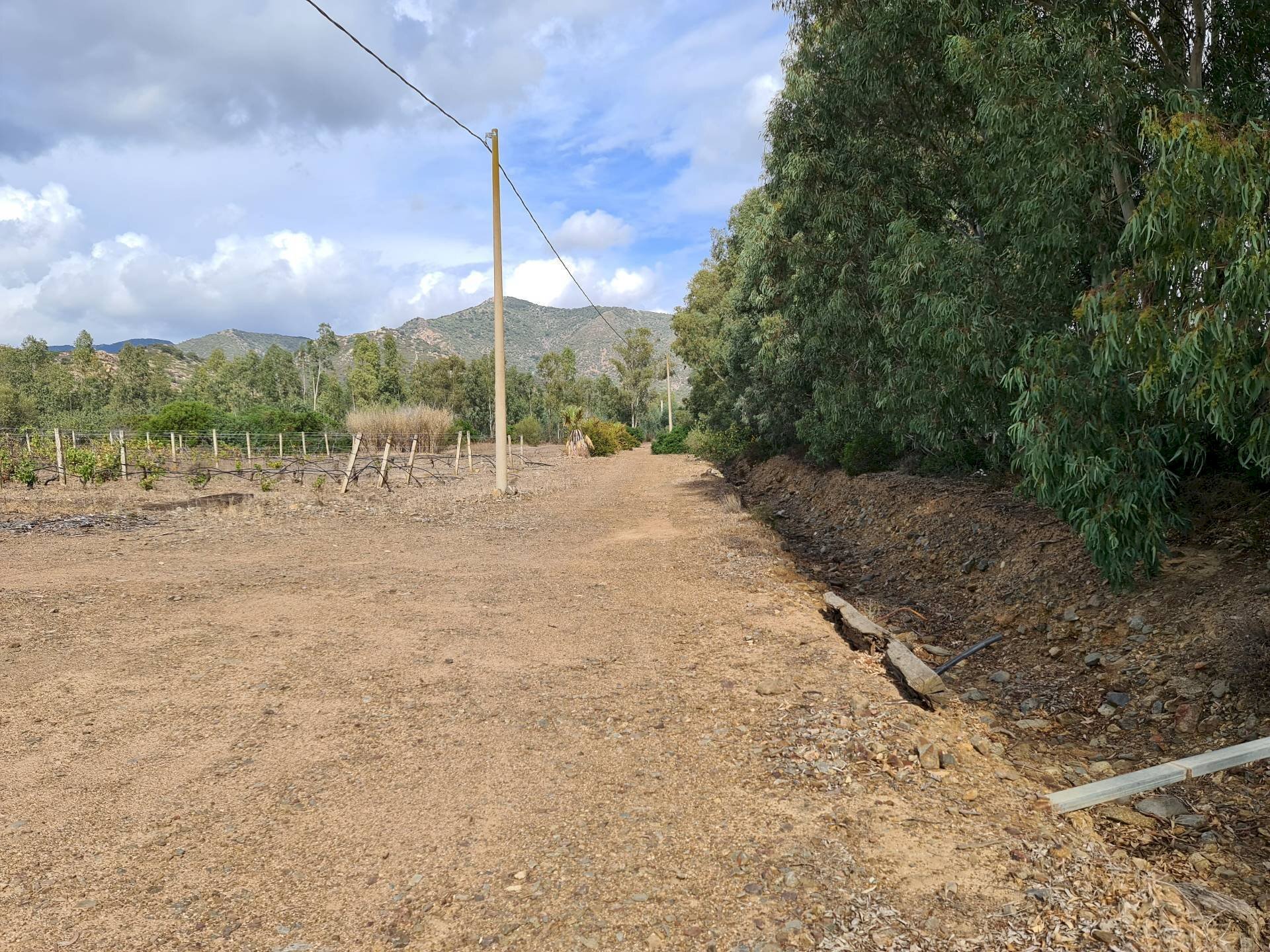 Foto 3 - Terreno agricolo Ex Ss 125, San Vito - foto 3