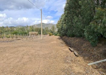 Foto 3 - Terreno agricolo Ex Ss 125, San Vito - foto 3