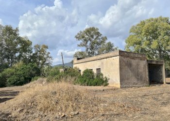 Foto 7 - Terreno agricolo Ex Ss 125, San Vito - foto 7