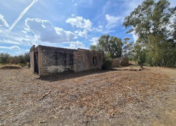 Foto 8 - Terreno agricolo Ex Ss 125, San Vito - foto 8