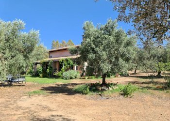 Foto 4 - Rustico Ex strada statale 125, San Vito - foto 4