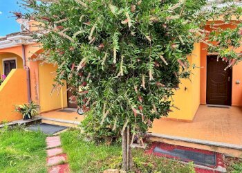 Foto 2 - Villa Via delle Azalee, Villaputzu - photo 2