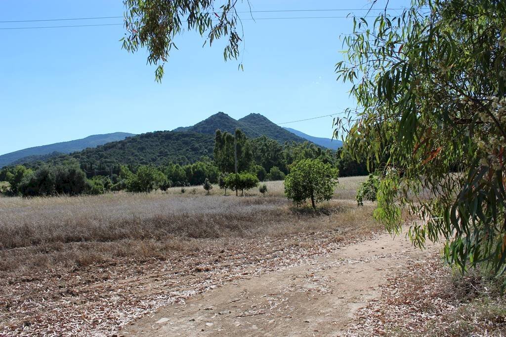 Foto 1 - Terreno agricolo Via San Pietro, Castiadas - foto 1
