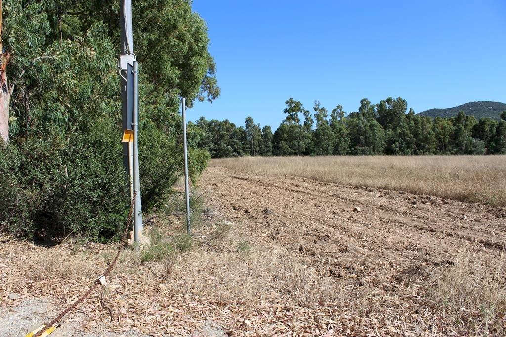 Foto 2 - Terreno agricolo Via San Pietro, Castiadas - foto 2