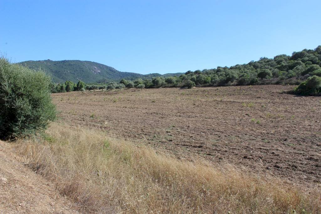 Foto 3 - Terreno agricolo Via San Pietro, Castiadas - foto 3