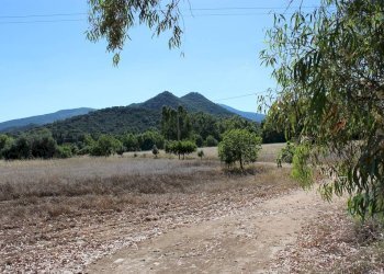 Foto 1 - Terreno agricolo Via San Pietro, Castiadas - foto 1