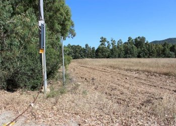 Foto 2 - Terreno agricolo Via San Pietro, Castiadas - foto 2