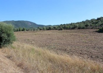 Foto 3 - Terreno agricolo Via San Pietro, Castiadas - foto 3