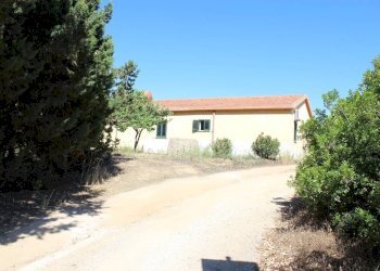 Foto 4 - Terreno agricolo Via San Pietro, Castiadas - foto 4