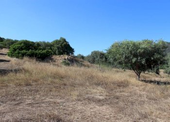 Foto 5 - Terreno agricolo Via San Pietro, Castiadas - foto 5