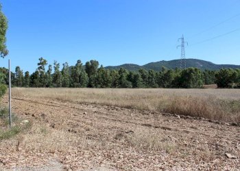 Foto 7 - Terreno agricolo Via San Pietro, Castiadas - foto 7