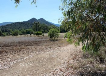 Foto 8 - Terreno agricolo Via San Pietro, Castiadas - foto 8