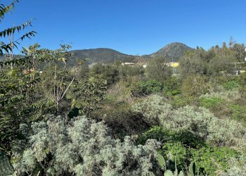 Foto 4 - Terreno edificabile Via Monte Narba, San Vito - foto 4